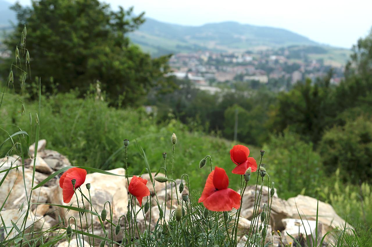 La Maesta' Bed and Breakfast Langhirano Εξωτερικό φωτογραφία